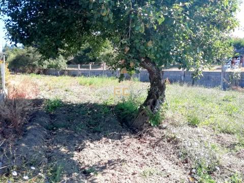 Terreno na Zona de Vila Verde