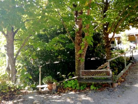 Herdade de 15 ha - Figueira da Foz!