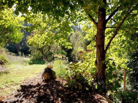 Herdade de 15 ha - Figueira da Foz!