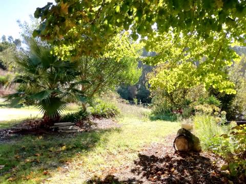 Herdade de 15 ha - Figueira da Foz!