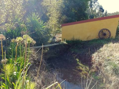 Herdade de 15 ha - Figueira da Foz!