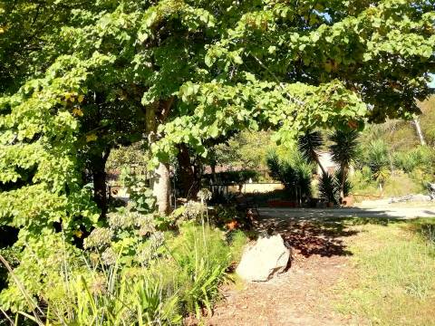 Herdade de 15 ha - Figueira da Foz!