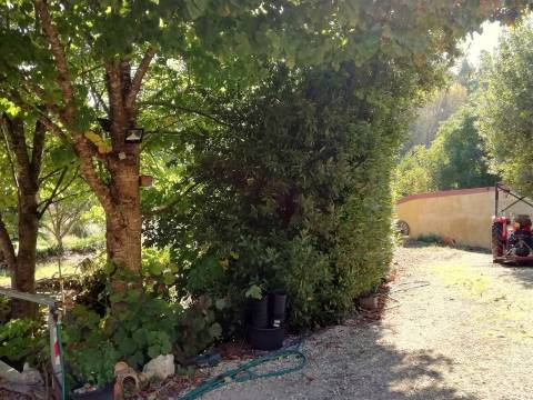 Herdade de 15 ha - Figueira da Foz!