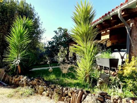 Herdade de 15 ha - Figueira da Foz!