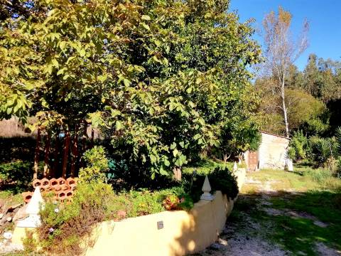 Herdade de 15 ha - Figueira da Foz!