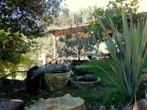 Herdade de 15 ha - Figueira da Foz!