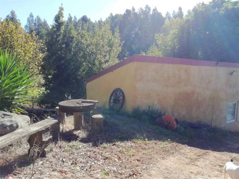 Herdade de 15 ha - Figueira da Foz!