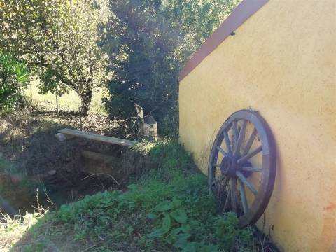Herdade de 15 ha - Figueira da Foz!