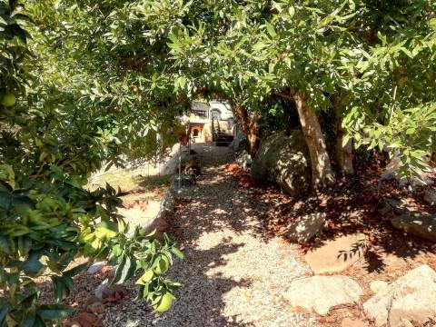 Herdade de 15 ha - Figueira da Foz!