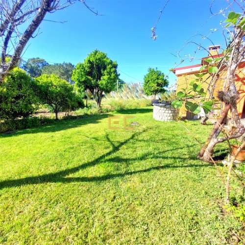 Moradia a 10 minutos da praia, com grande jardim!