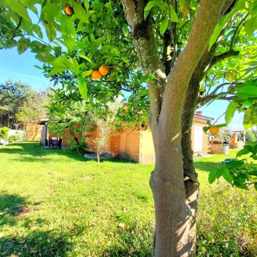 Moradia a 10 minutos da praia, com grande jardim!