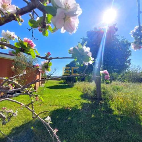 Moradia a 10 minutos da praia, com grande jardim!