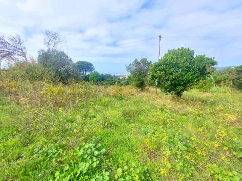 Terreno com vistas de mar- em Buarcos!