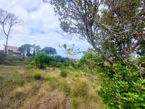 Terreno com vistas de mar- em Buarcos!