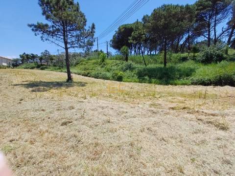Terreno para Construção de Moradia, para venda na Figueira da Foz!