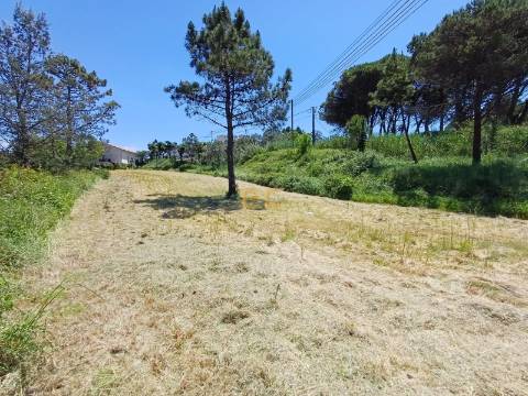 Terreno para Construção de Moradia, para venda na Figueira da Foz!