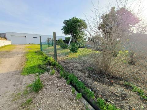 Armazém comercial com Negócio em Funcionamento – Cadima (Cantanhede)