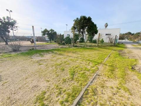 Armazém comercial com Negócio em Funcionamento – Cadima (Cantanhede)