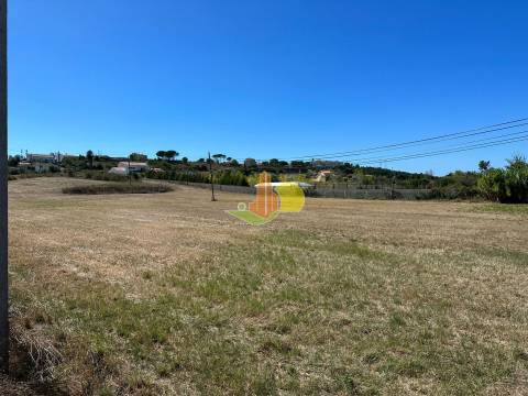 Terreno com viabilidade de construção em Maiorca