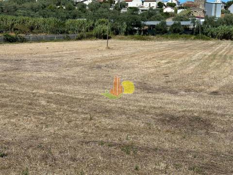 Terreno com viabilidade de construção em Maiorca