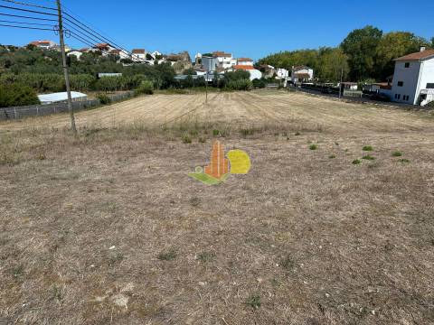 Terreno com viabilidade de construção em Maiorca