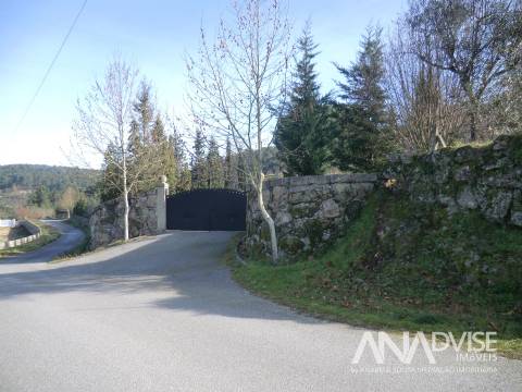 Quinta  Venda em Mangualde, Mesquitela e Cunha Alta,Mangualde
