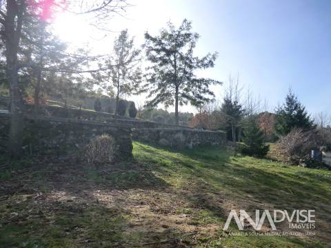 Quinta  Venda em Mangualde, Mesquitela e Cunha Alta,Mangualde