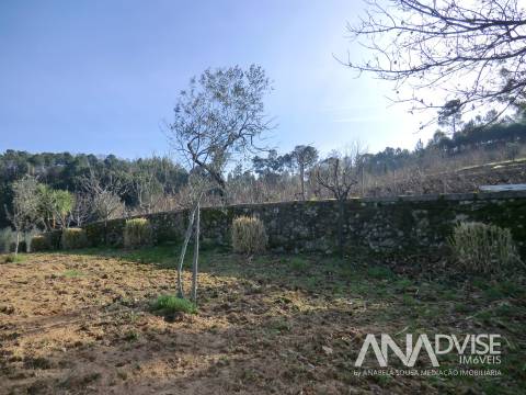 Quinta  Venda em Mangualde, Mesquitela e Cunha Alta,Mangualde