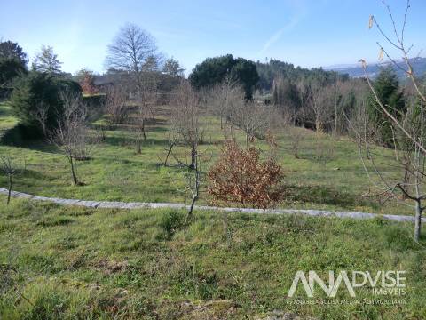 Quinta  Venda em Mangualde, Mesquitela e Cunha Alta,Mangualde