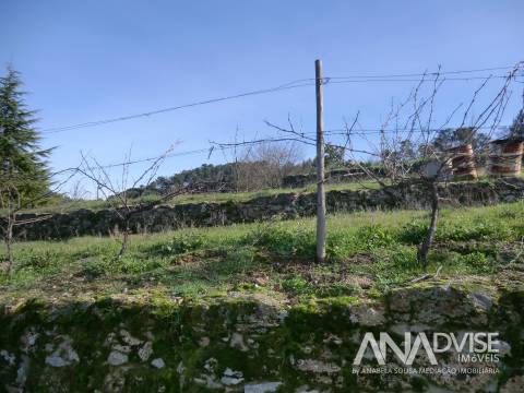 Quinta  Venda em Mangualde, Mesquitela e Cunha Alta,Mangualde