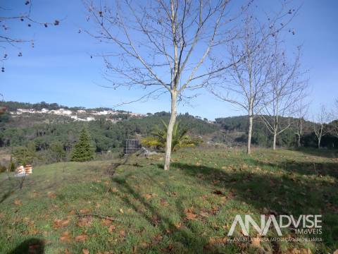 Quinta  Venda em Mangualde, Mesquitela e Cunha Alta,Mangualde