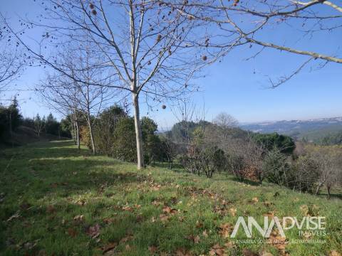 Quinta  Venda em Mangualde, Mesquitela e Cunha Alta,Mangualde