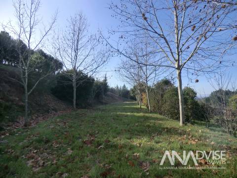 Quinta  Venda em Mangualde, Mesquitela e Cunha Alta,Mangualde