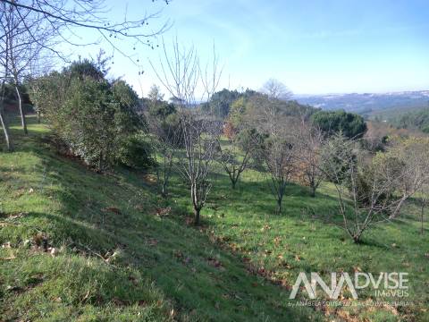 Quinta  Venda em Mangualde, Mesquitela e Cunha Alta,Mangualde