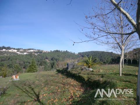 Quinta  Venda em Mangualde, Mesquitela e Cunha Alta,Mangualde
