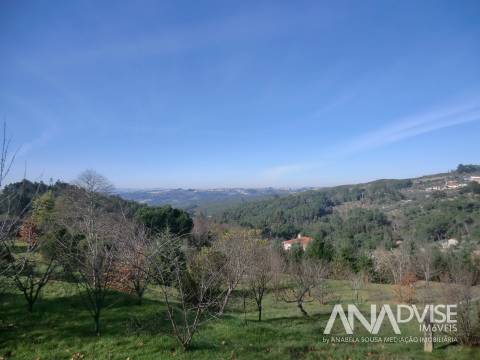Quinta  Venda em Mangualde, Mesquitela e Cunha Alta,Mangualde