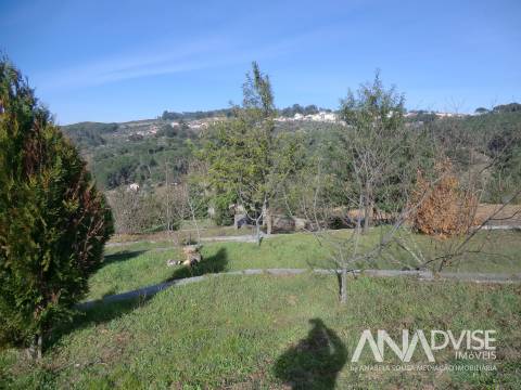 Quinta  Venda em Mangualde, Mesquitela e Cunha Alta,Mangualde