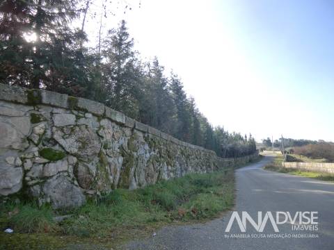 Quinta  Venda em Mangualde, Mesquitela e Cunha Alta,Mangualde