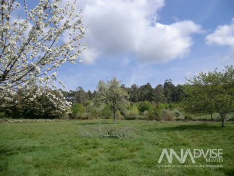Moradia para Restaurar T1 Venda em Campo,Viseu