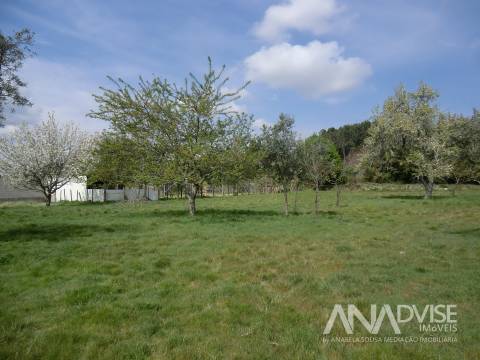 Moradia para Restaurar T1 Venda em Campo,Viseu