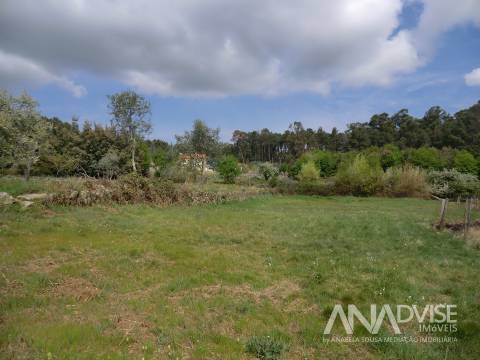 Moradia para Restaurar T1 Venda em Campo,Viseu