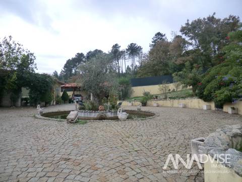 Moradia Isolada T4 Venda em Fragosela,Viseu