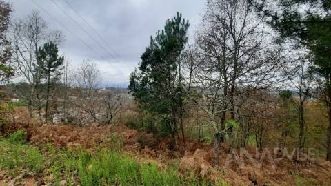 Moradia Isolada T3+1 Venda em Repeses e São Salvador,Viseu