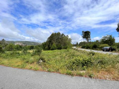 Terreno Para Construção  Venda em Couto de Baixo e Couto de Cima,Viseu