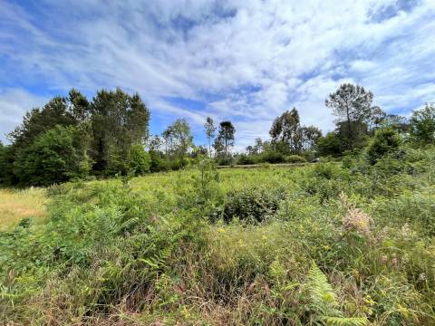 Terreno Para Construção  Venda em Couto de Baixo e Couto de Cima,Viseu