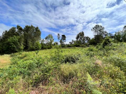 Terreno Para Construção  Venda em Couto de Baixo e Couto de Cima,Viseu