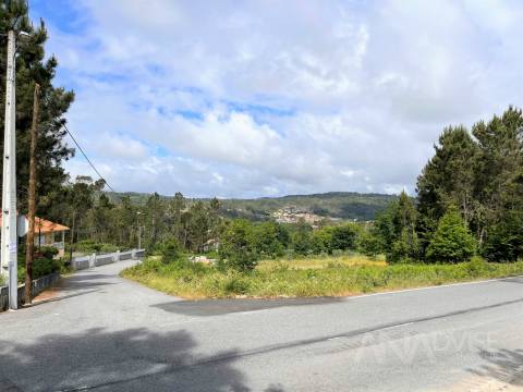 Terreno Para Construção  Venda em Couto de Baixo e Couto de Cima,Viseu