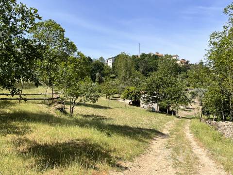 Quinta  Venda em São Miguel do Mato,Vouzela