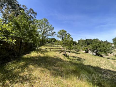 Quinta  Venda em São Miguel do Mato,Vouzela