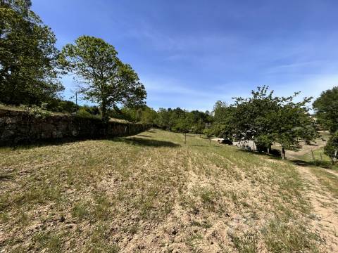 Quinta  Venda em São Miguel do Mato,Vouzela